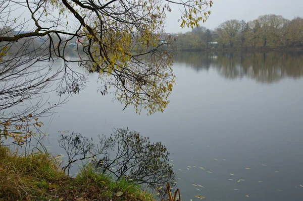 Rybník Zamlženém Podzimním Ránu — Stock fotografie