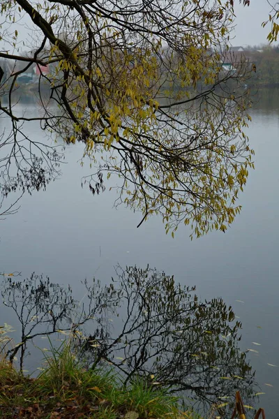 Λίμνη Ομιχλώδες Πρωινό Του Φθινοπώρου — Φωτογραφία Αρχείου