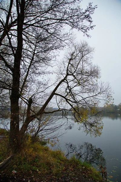 Étang Sur Matin Automne Brumeux — Photo