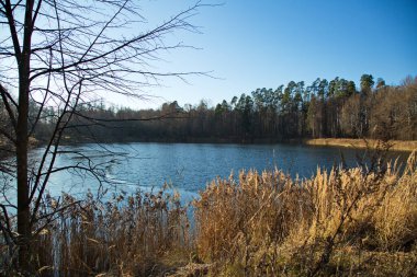 Rusya 'nın Moskova bölgesinde, sonbaharın sonlarında Yaropolets köyü yakınlarındaki Lama Nehri..