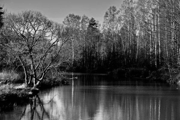 Lama Řeka Blízkosti Vesnice Jaropolety Konci Podzimu Moskva Region Ruska — Stock fotografie