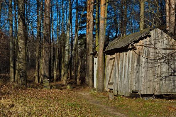 Cabana Floresta Uma Floresta Perto Moscou Região Moscou Rússia — Fotografia de Stock