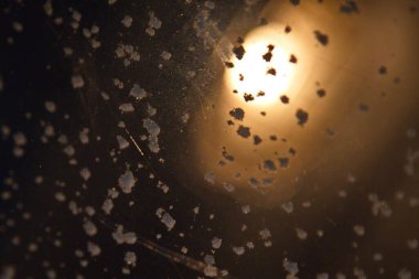 Kışın tren vagonunun terzisi..