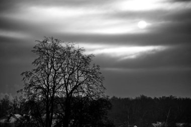 Kışın soğuk güneş bulutlu gökyüzünde.