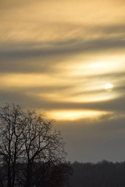 Kışın soğuk güneş bulutlu gökyüzünde.