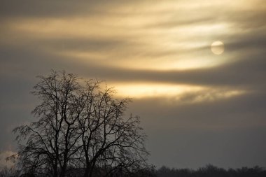 Kışın soğuk güneş bulutlu gökyüzünde.
