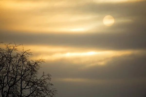 Sol Frio Céu Nublado Inverno — Fotografia de Stock