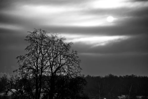 Sol Frio Céu Nublado Inverno — Fotografia de Stock