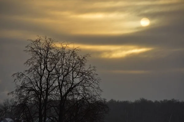 Soleil Froid Hiver Ciel Nuageux — Photo