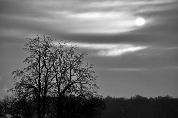 Sol Frio Céu Nublado Inverno — Fotografia de Stock