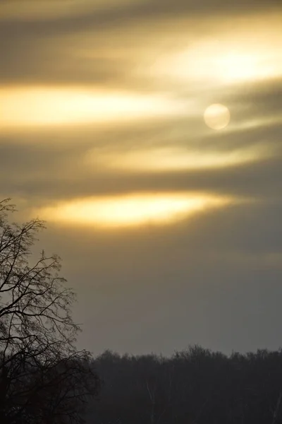 Soleil Froid Hiver Ciel Nuageux — Photo