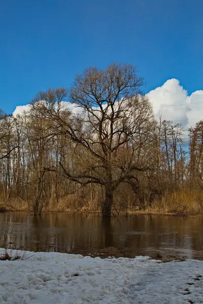 Début Des Inondations Printanières Sur Rivière Desna — Photo