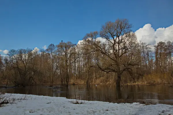 Desna Nehri Ndeki Bahar Selinin Başlangıcı — Stok fotoğraf