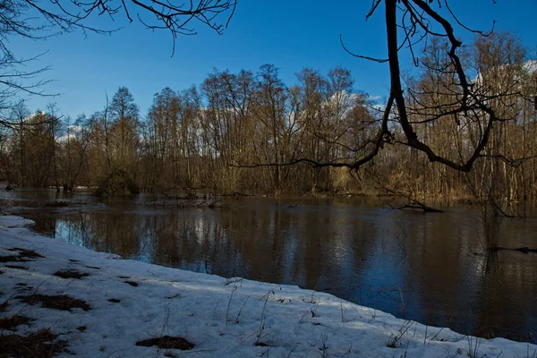 Początek Wiosennej Powodzi Nad Rzeką Desną — Zdjęcie stockowe