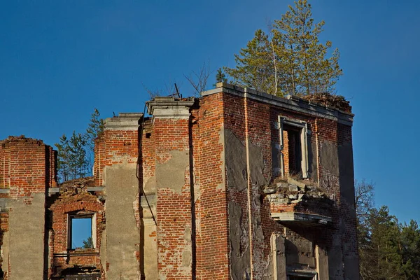 Ruiner Adelsståndet Petrovskoe Knyazhishchevo Moskva Regionen Ryssland — Stockfoto