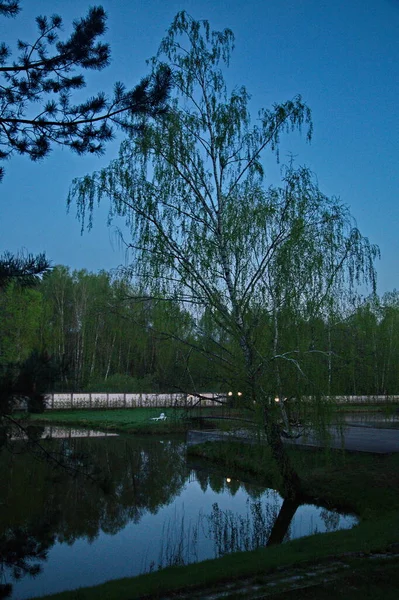 Estanque Ciudad Hora Antes Del Amanecer —  Fotos de Stock