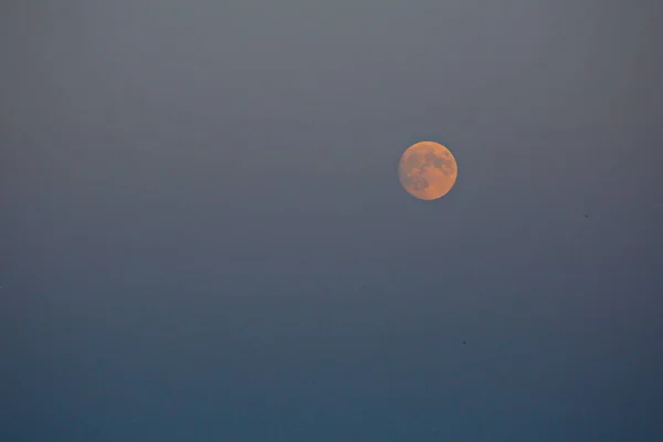 Lua Nos Raios Sol Poente Uma Noite Verão — Fotografia de Stock