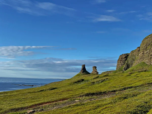 Rocks Two Brothers Aan Kust Van Barentszzee Regio Moermansk Rusland — Stockfoto