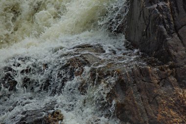 Rusya 'nın Murmansk bölgesindeki Titovka nehrinin kayalık akıntıları.