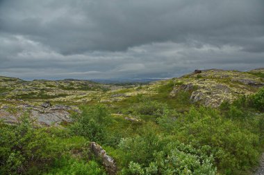 Rusya 'nın Murmansk bölgesinden Kola Yarımadası' ndan Rocky Tundra.