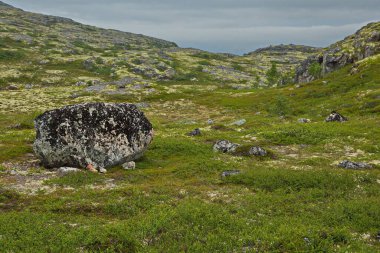 Rusya 'nın Murmansk bölgesinden Kola Yarımadası' ndan Rocky Tundra.