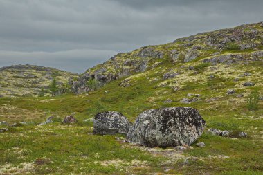 Rusya 'nın Murmansk bölgesinden Kola Yarımadası' ndan Rocky Tundra.