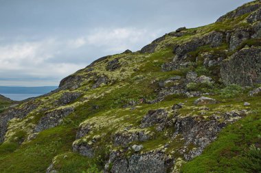 Rusya 'nın Murmansk bölgesinden Kola Yarımadası' ndan Rocky Tundra.