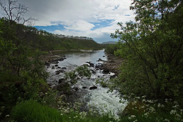 Valle Del Torrente Pyany Affluente Del Fiume Titovka Regione Murmansk — Foto Stock