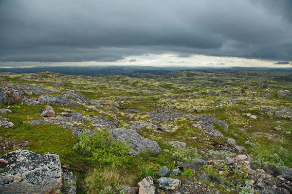 Rusya Nın Murmansk Bölgesinden Kola Yarımadası Ndan Rocky Tundra — Stok fotoğraf