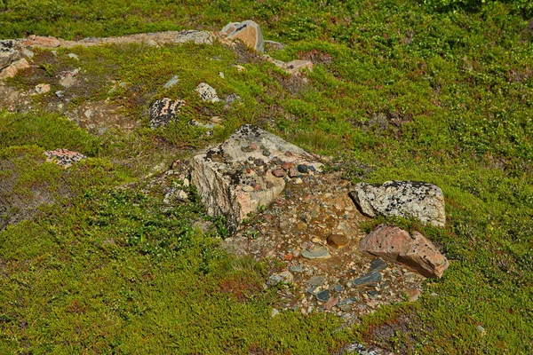 Tundra Rocosa Península Kola Región Murmansk Rusia —  Fotos de Stock