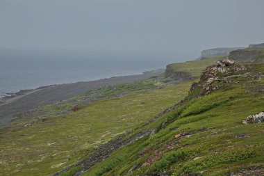 Barents Denizi 'nin Rocky kıyıları.