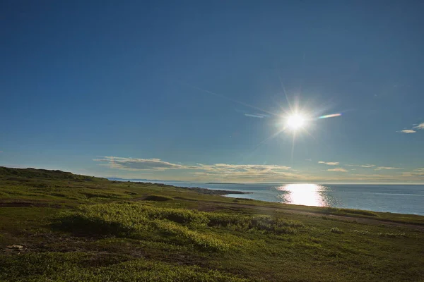 Die Küste Der Barentssee Einem Polartag — Stockfoto