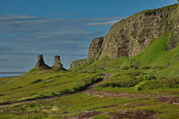 Felsen Der Barentsküste Stockbild