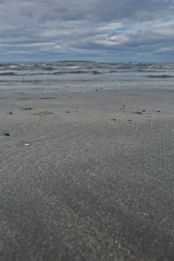 Barents Denizi 'nin kumlu sahilleri