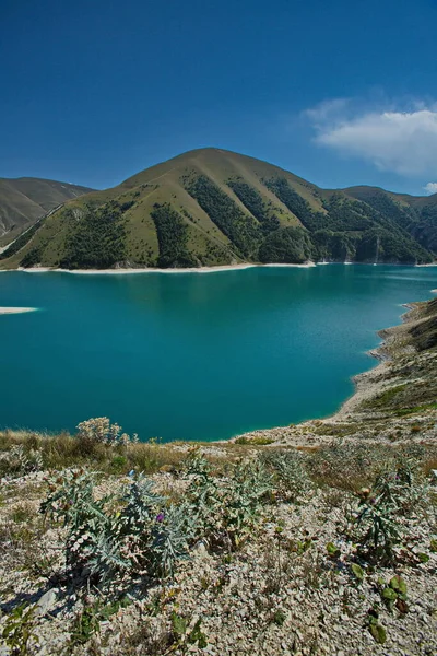 Lago Alpino Kezenoy Lago Más Grande Del Cáucaso Imagen de archivo