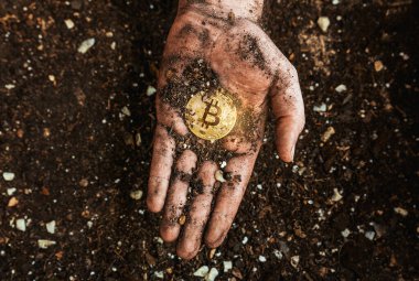 A golden bitcoin on the dirty hand of a miner. Metaphor of mining BTC and cryptocurrencies. Digital business and decentralized finances concept clipart