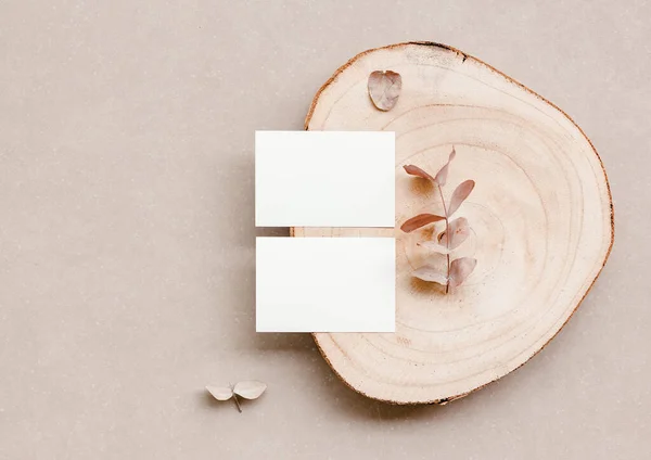 Twee Witte Visitekaartjes Voor Design Sjabloon Bovenaanzicht Blanco Visitekaartje Model — Stockfoto