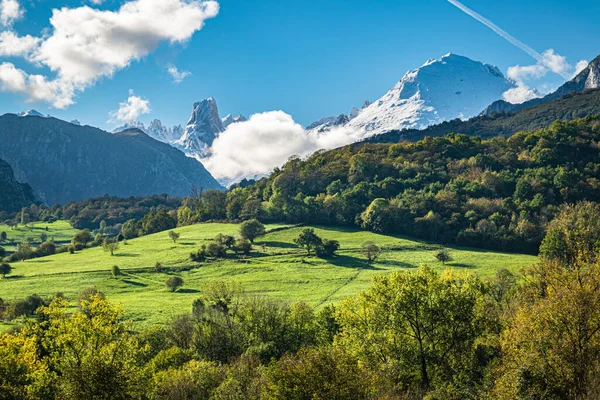 지평선에 상징적 우리엘루 아스투리아스 경치다 Picos Europa National Park Scape — 스톡 사진