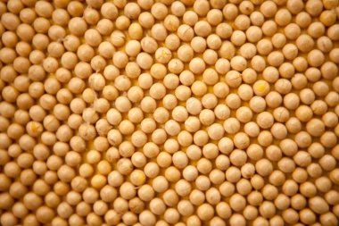 Düzgün dizilmiş yüksek kaliteli soya fasulyesi fotoğrafı.