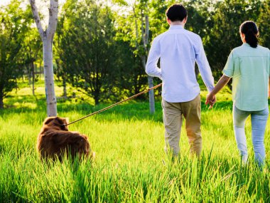 Parkta köpekleri gezdiren genç aşıklar
