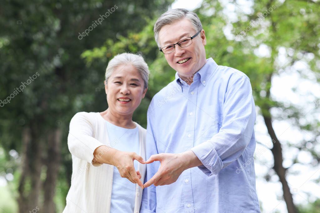 Happy old couple walking in the park