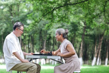 Parkta satranç oynayan mutlu yaşlı çift.
