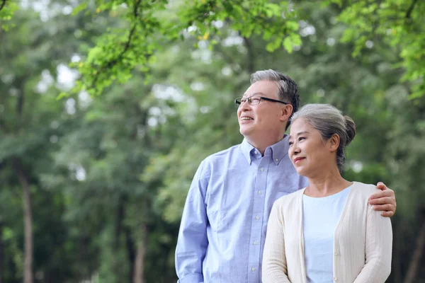 Glada gamla par tittar på landskapet i parken — Stockfoto