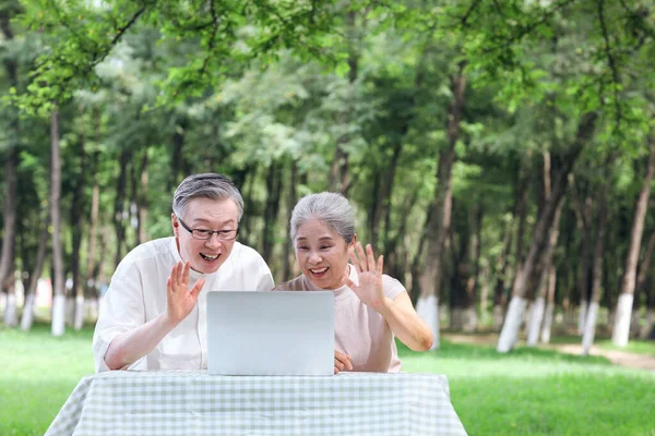 Starsze pary używają komputerowego czatu wideo na zewnątrz — Zdjęcie stockowe