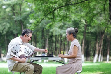 Parkta satranç oynayan mutlu yaşlı çift.