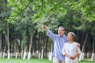 Parktaki manzaraya bakan mutlu yaşlı çift.