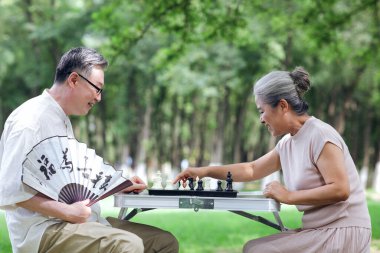 Parkta satranç oynayan mutlu yaşlı çift.