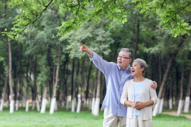 Parktaki manzaraya bakan mutlu yaşlı çift.