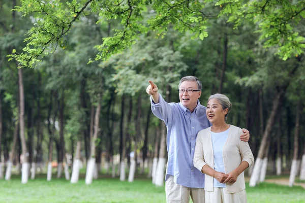 Glada gamla par tittar på landskapet i parken — Stockfoto