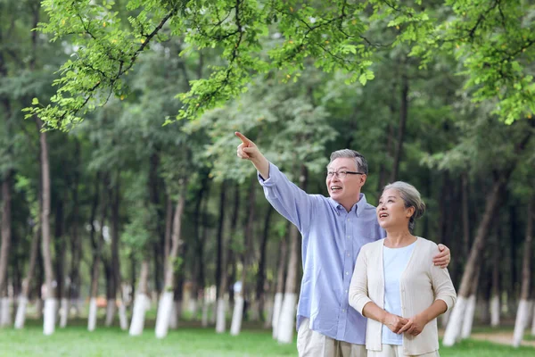 Heureux vieux couple regardant le paysage dans le parc — Photo